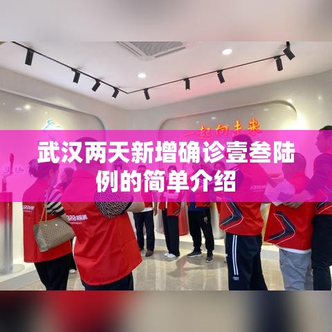 武汉两天新增确诊壹叁陆例的简单介绍 武汉两天新增确诊壹叁陆例的简单介绍