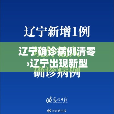 辽宁确诊病例清零›辽宁出现新型