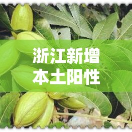 浙江新增本土阳性叁例—（浙江新型肺炎病例）