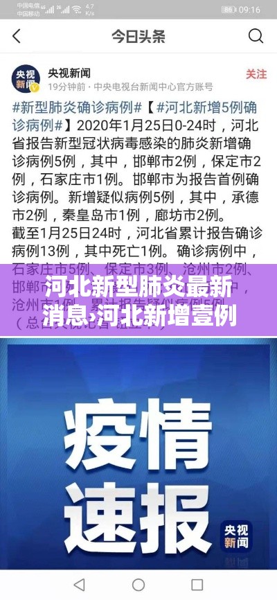 河北新型肺炎最新消息›河北新增壹例本土确诊病例