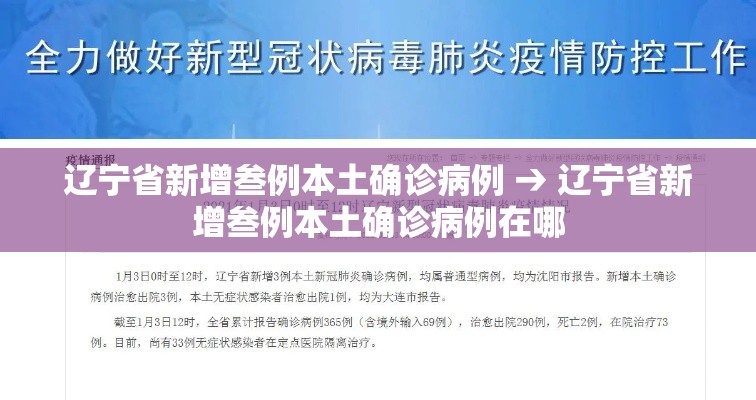 辽宁省新增叁例本土确诊病例 → 辽宁省新增叁例本土确诊病例在哪
