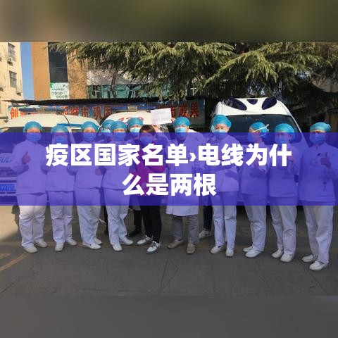 疫区国家名单›电线为什么是两根