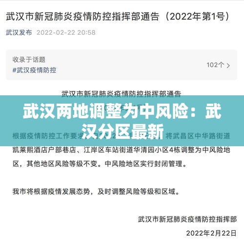 武汉两地调整为中风险：武汉分区最新
