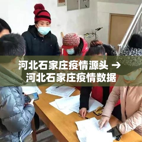 河北石家庄疫情源头 → 河北石家庄疫情数据