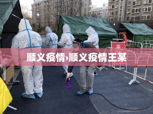 顺义疫情›顺义疫情王某