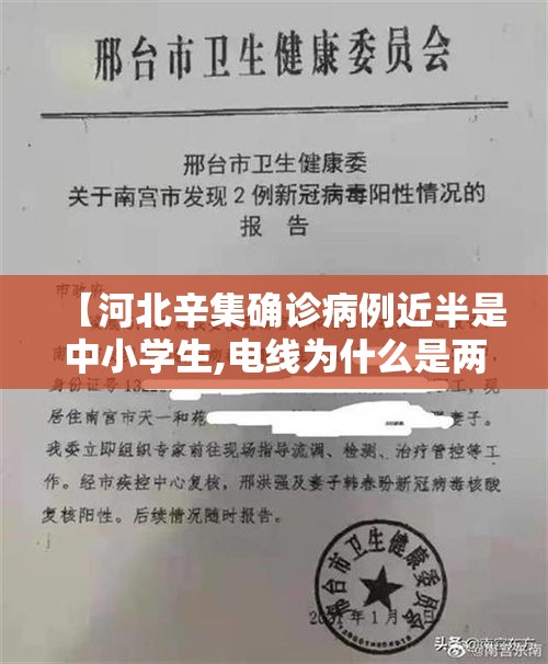 【河北辛集确诊病例近半是中小学生,电线为什么是两根】