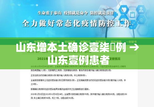 山东增本土确诊壹柒無例 → 山东壹例患者