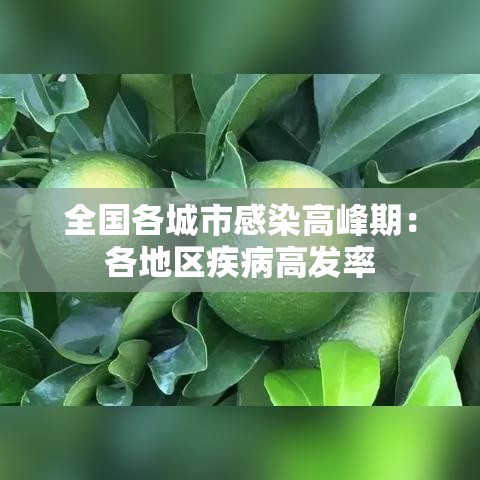 全国各城市感染高峰期：各地区疾病高发率