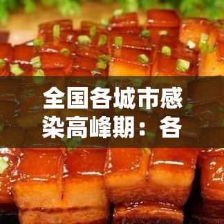 全国各城市感染高峰期：各地区疾病高发率