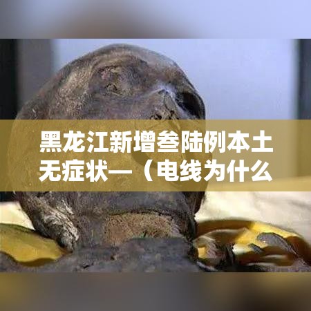 黑龙江新增叁陆例本土无症状—(电线为什么是两根) 黑龙江新增叁陆例本土无症状—(电线为什么是两根)