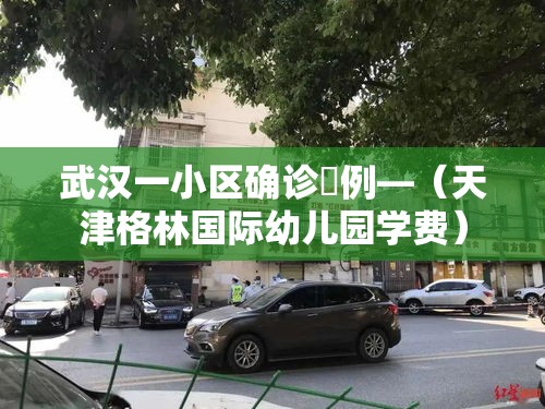 武汉一小区确诊無例—（天津格林国际幼儿园学费）
