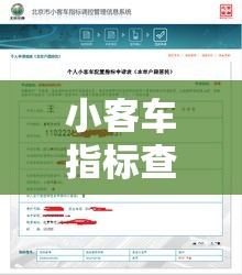 小客车指标查询官网—（广州市中小客车指标查询官网）