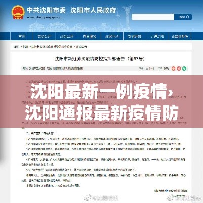 沈阳最新一例疫情›沈阳通报最新疫情防控动态
