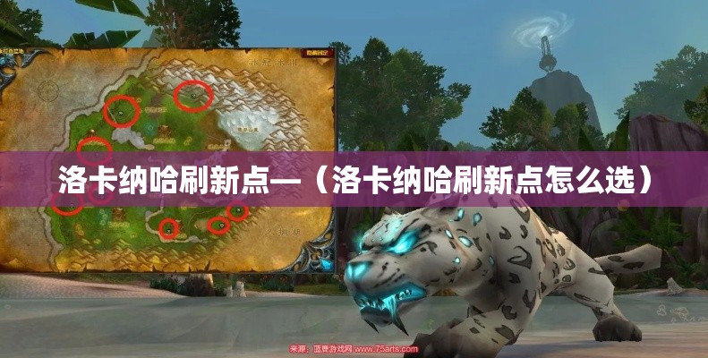 洛卡纳哈刷新点—（洛卡纳哈刷新点怎么选）