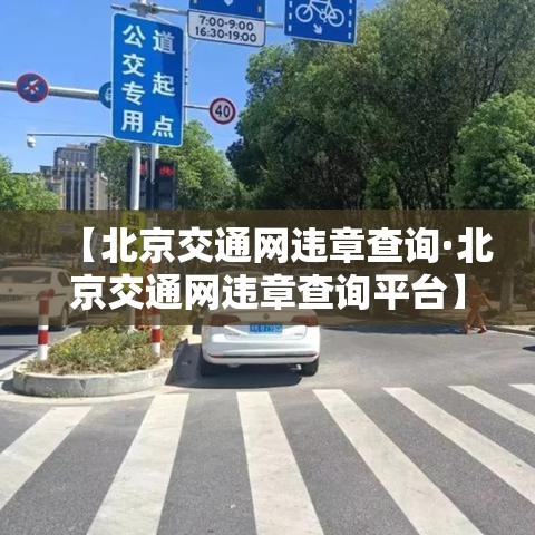 【北京交通网违章查询·北京交通网违章查询平台】