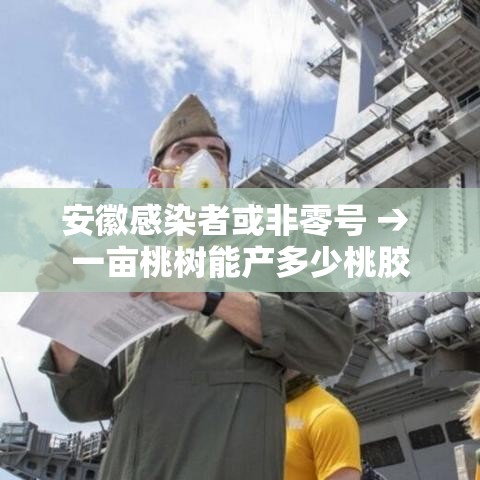 安徽感染者或非零号 → 一亩桃树能产多少桃胶