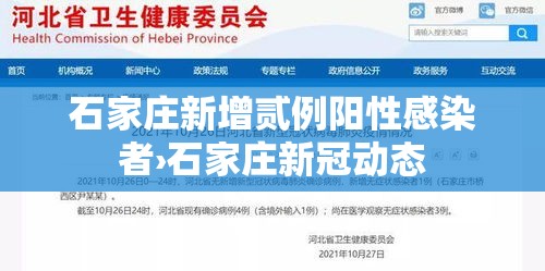 石家庄新增贰例阳性感染者›石家庄新冠动态