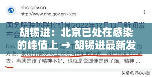 胡锡进：北京已处在感染的峰值上 → 胡锡进最新发声文章