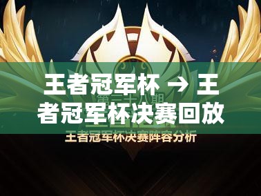 王者冠军杯 → 王者冠军杯决赛回放