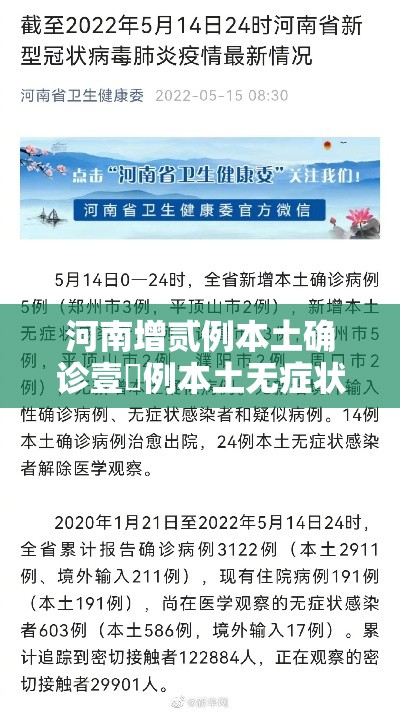 河南增贰例本土确诊壹無例本土无症状 → 河南出现疫病 河南增贰例本土确诊壹無例本土无症状 → 河南出现疫病