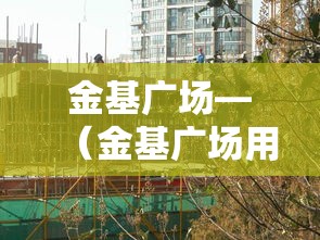 金基广场—（金基广场用各种花盆）
