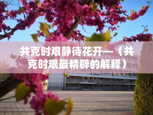 共克时艰静待花开—(共克时艰最精辟的解释) 共克时艰静待花开—(共克时艰最精辟的解释)