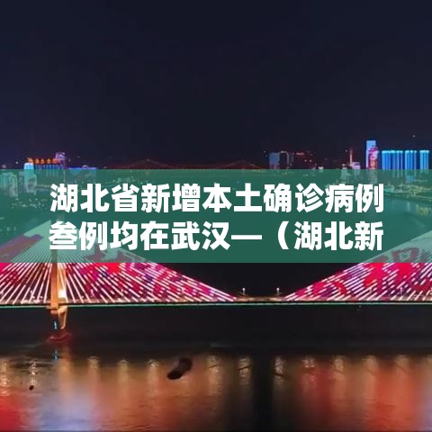 湖北省新增本土确诊病例叁例均在武汉—（湖北新冠病毒最新消息）