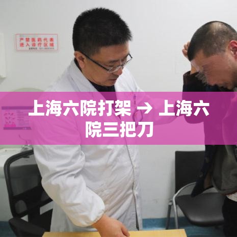 上海六院打架 → 上海六院三把刀 上海六院打架 → 上海六院三把刀
