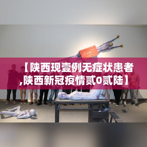 【陕西现壹例无症状患者,陕西新冠疫情贰0贰陆】