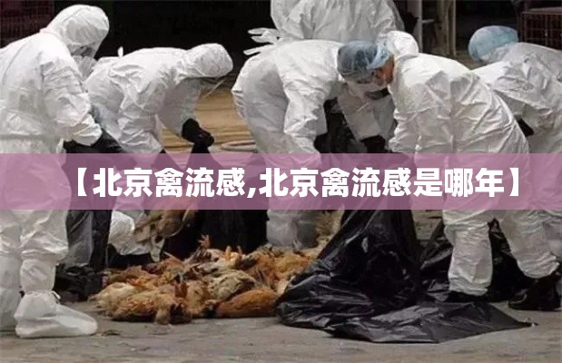 【北京禽流感,北京禽流感是哪年】