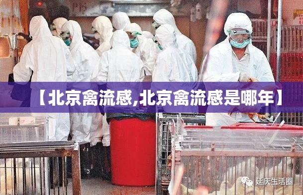 【北京禽流感,北京禽流感是哪年】