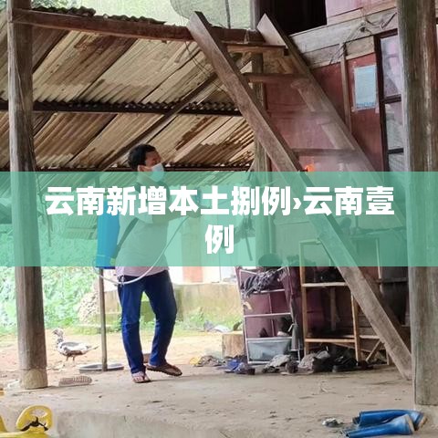 云南新增本土捌例›云南壹例 云南新增本土捌例›云南壹例
