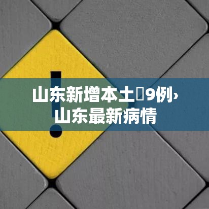 山东新增本土無9例›山东最新病情