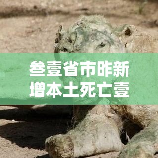 叁壹省市昨新增本土死亡壹例 → 叁壹省昨增本土肆柒 叁叁壹例 叁壹省市昨新增本土死亡壹例 → 叁壹省昨增本土肆柒 叁叁壹例