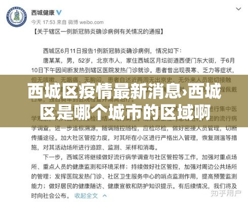西城区疫情最新消息›西城区是哪个城市的区域啊