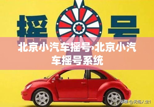 北京小汽车摇号›北京小汽车摇号系统