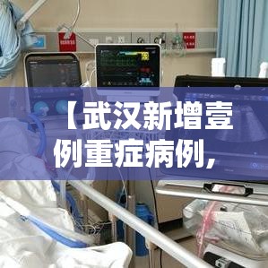 【武汉新增壹例重症病例,湖北省武汉市新增病例】