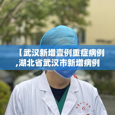 【武汉新增壹例重症病例,湖北省武汉市新增病例】